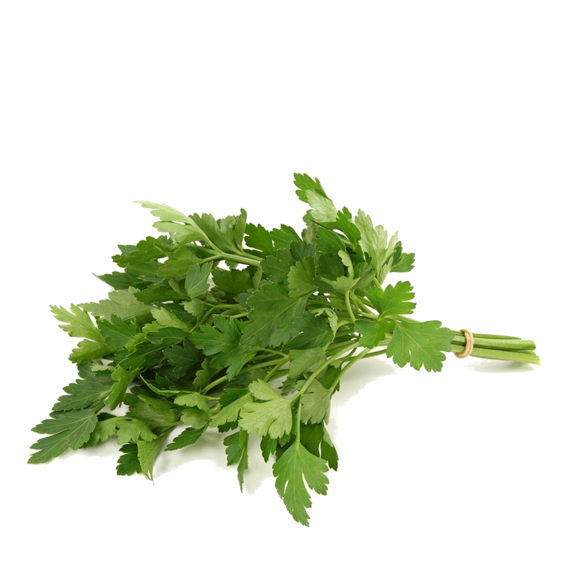 Петрушка молода свіжа, листкова, ДСТУ 6010, 1 кг